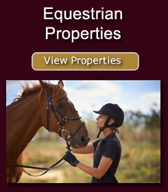 Click here to view our Equestrian properties